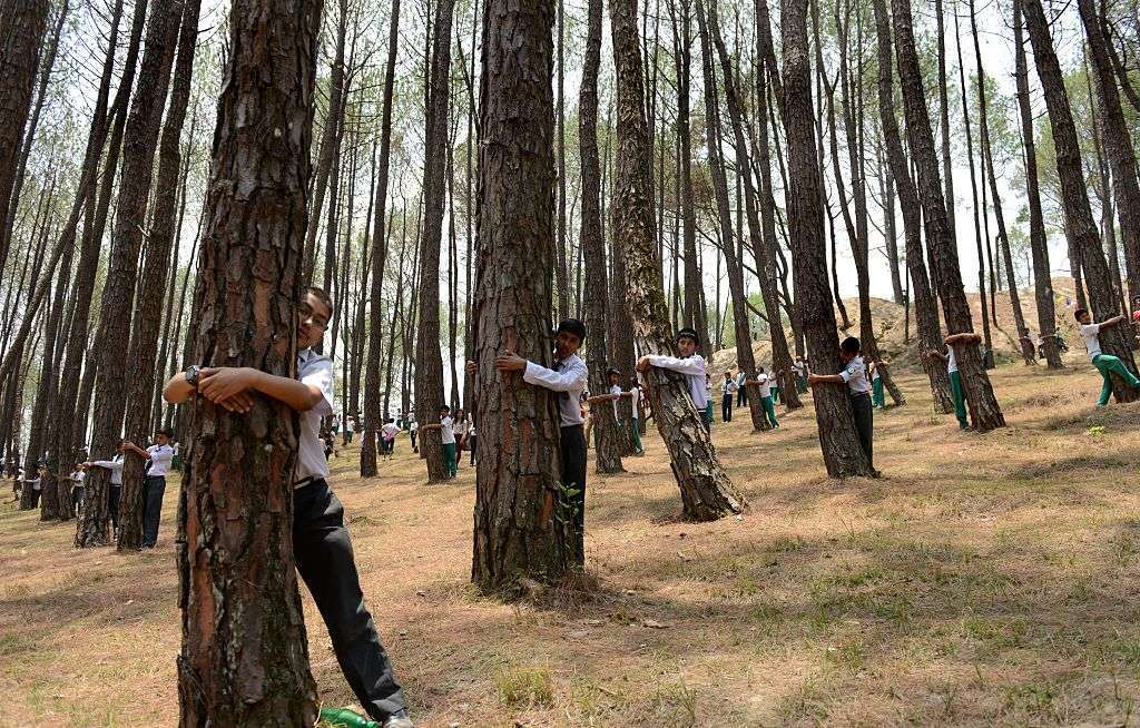 NEPAL-WORLD-ENVIRONMENT DAY